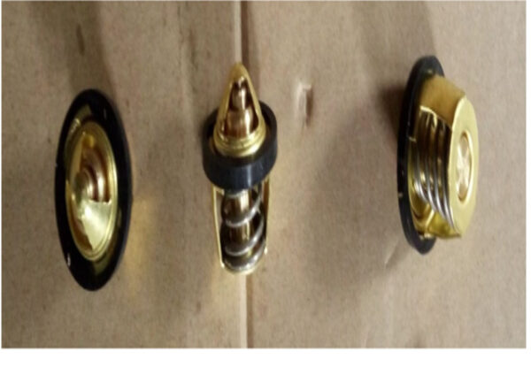 SYM_RADYATOR TERMOSTAT_JETX125